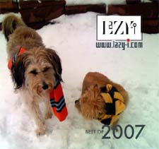 Best of 2007 CD cover