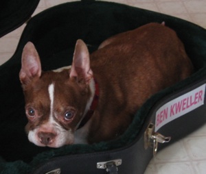 Coco Benck sits in a guitar case.